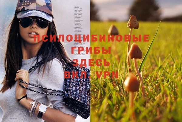 гидропоника Михайловка