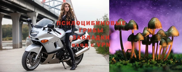 прущие крисы Михайлов