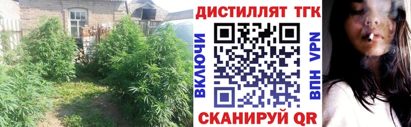 ТГК концентрат  Холм 