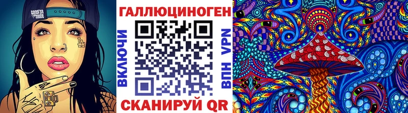 Псилоцибиновые грибы прущие грибы  где найти   МЕГА маркетплейс  Холм 